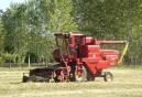 oat harvest 2008 017.jpg