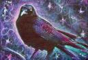 "crow" 6"x8", acrylic on canvas crow.jpg