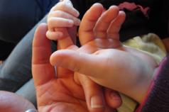Darzo, Sally,and Cruz's hands