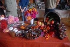 Don's Dahlias and Josie's produce