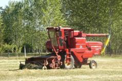 oat harvest 2008 017.jpg