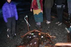 soggy woman 2008.jpg