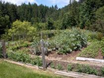 Market Garden at Driftwood Cove