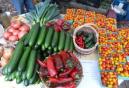 Jewel Box at the last market of the season