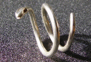 Sea Snake