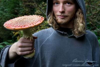 Giant Mushroom!