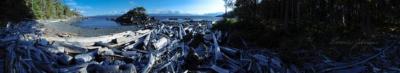 Brennen's view