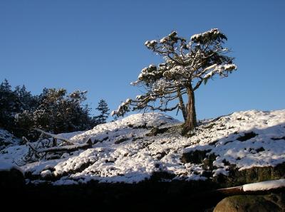 Lasqueti Snow 007.JPG