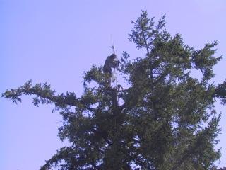 Adjusting Acess Point on Yellow Mt.