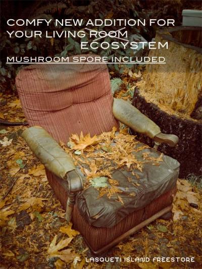Have the comfort of mushrooms growing in your own living room