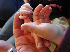 Darzo, Sally, and Cruz's hands