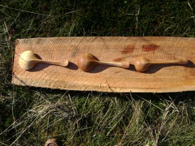 Arbutus Ladles