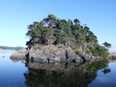 Finnerty Islands 2