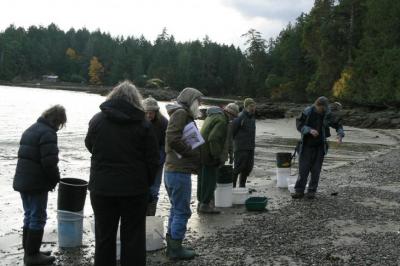 LIFFT - surveying for forage fish on Lasqueti 