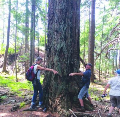 Squitty View - Gretje and James hug a big tree at Squitty Bay Day 2015