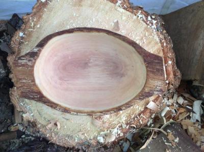 Hand carve arbutus