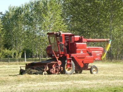 oat harvest 2008 017.jpg