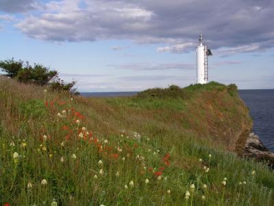 sangster lighthouse.jpg