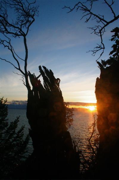 stump sunset.jpg