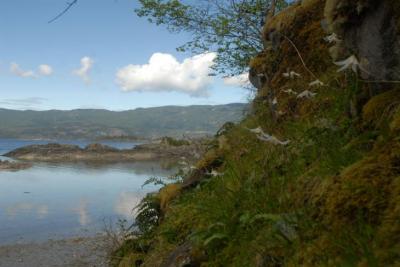 Tucker Bay Property 