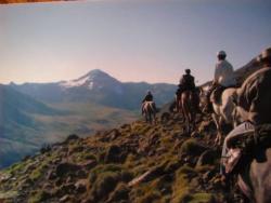 Horseback riding at the ranch
