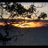 Arbutus Sunset2.jpg