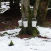 Maple Sugaring,Jan 2009 001.jpg