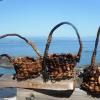 Full Bull Kelp Basket with Handle