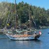 Sail Past 2026