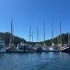 Sail Past 2026
