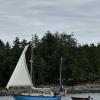 Sail Past 2025
