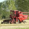 oat harvest 2008 017.jpg