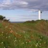 sangster lighthouse.jpg