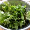 bags of freshly picked mixed salad greens