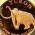 Yukon-Mammoth-Gold-proof-2008-reverse.jpg